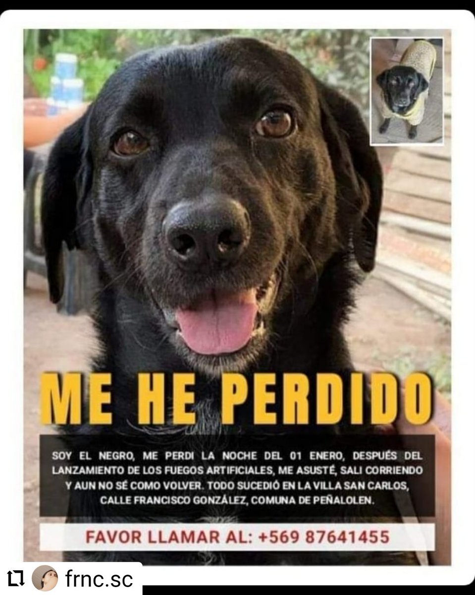 CallejeritosDeLaVega tweet media
