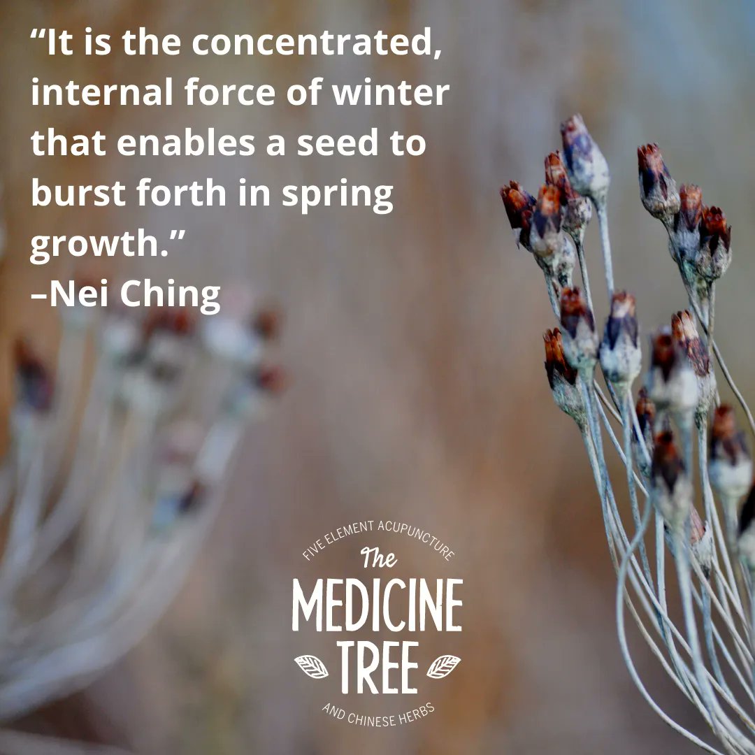 TheMedicineTree's tweet photo. The Nei Ching, or the Canon of Internal Medicine, is likely the oldest known medical text in existence, said to have been written in part as early as 2600 BC! 

#thethingsyoulearn #oldbooks #ancientlogic #neiching #neijing #chinesemedicine #activehibernation https://t.co/F1Vtaa7wrR