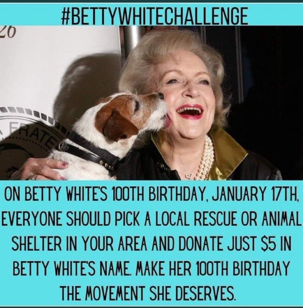 FretsForPets's tweet photo. Betty White was a real treasure, and even at 99 it feels as though she was lost before her time. Always a friend to animals, she would have loved this challenge and the Frets for Pets charity stands behind it 100%

#bettywhitechallenge https://t.co/PDGeurOjWJ
