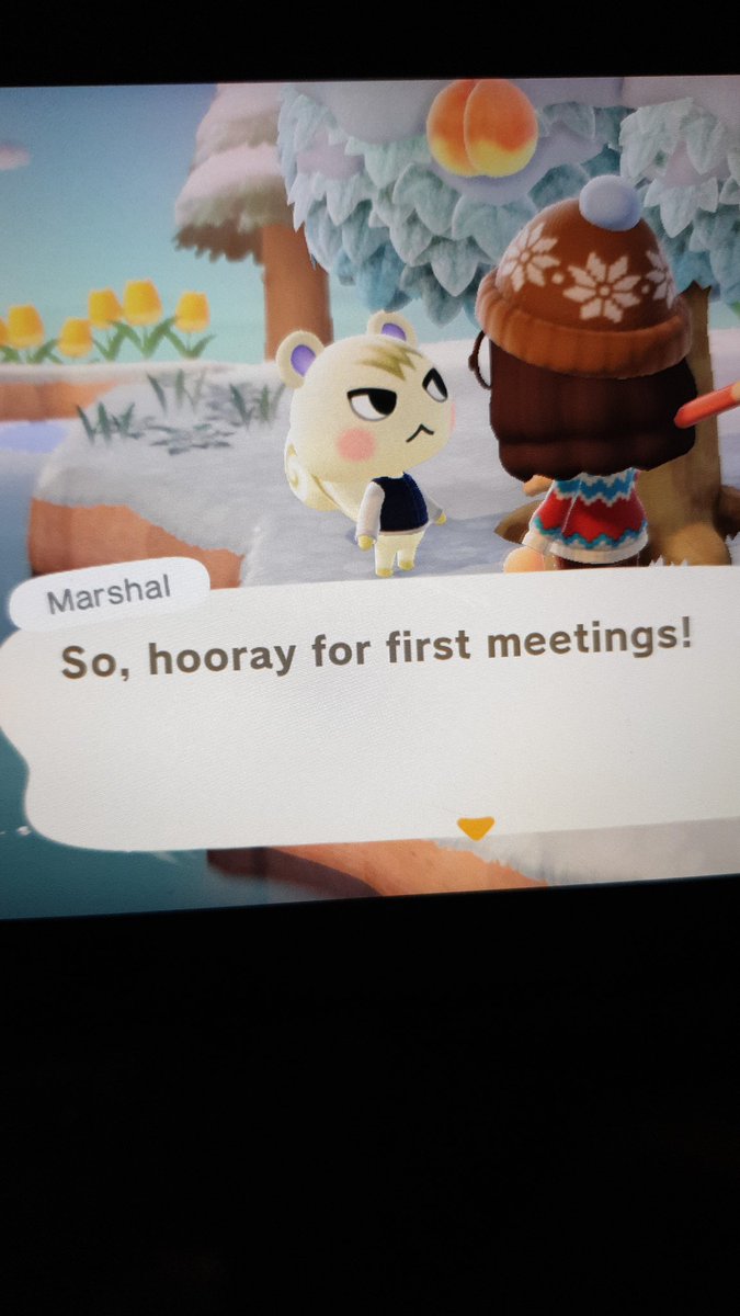 tulipscrossing's tweet photo. look who i just found on a mystery island omg https://t.co/LObw3nF5Y5
