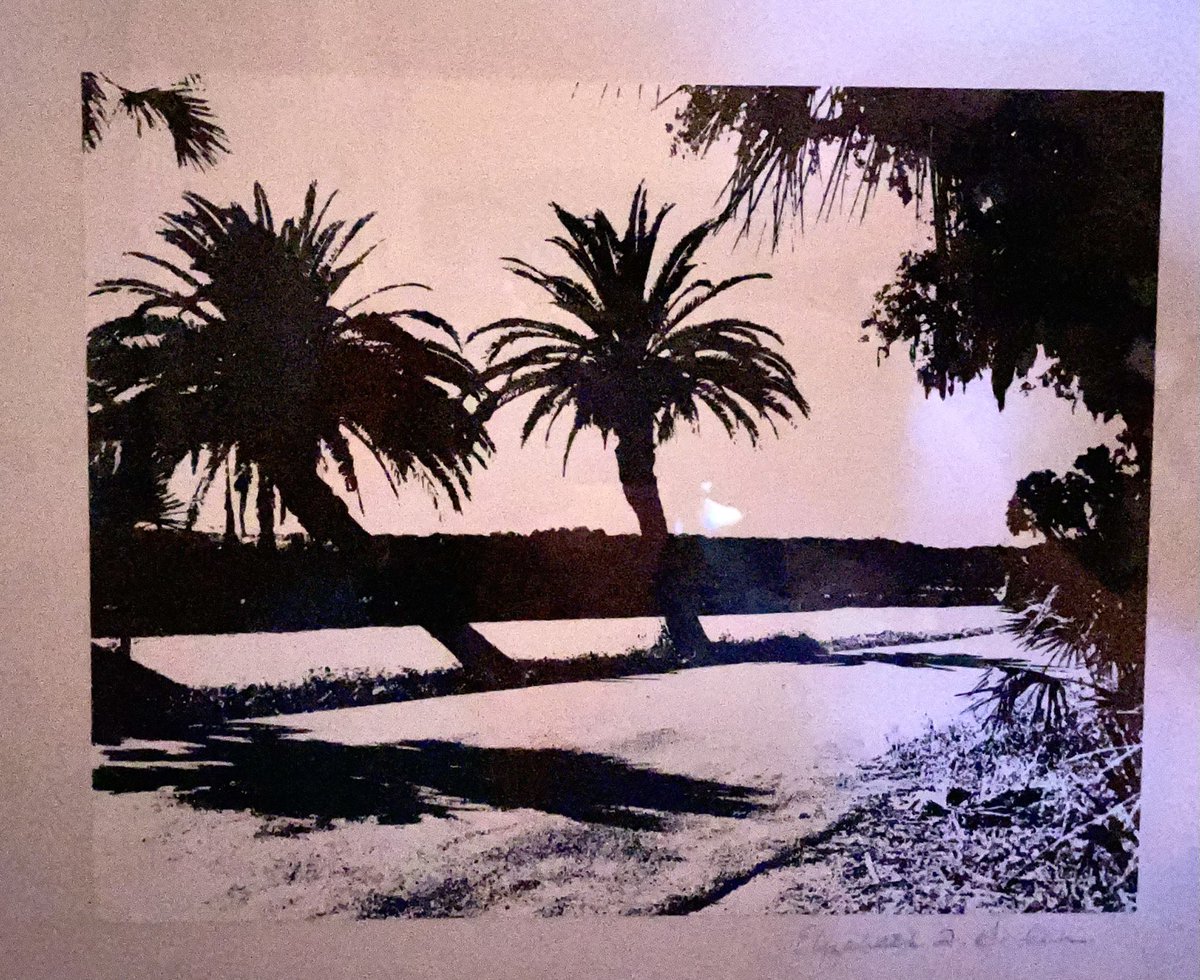Hillman_Eliz78's tweet photo. #ormondloop #sepia #datepalms #ormondbeach #ormondbythesea https://t.co/qb07I3i1Qj
