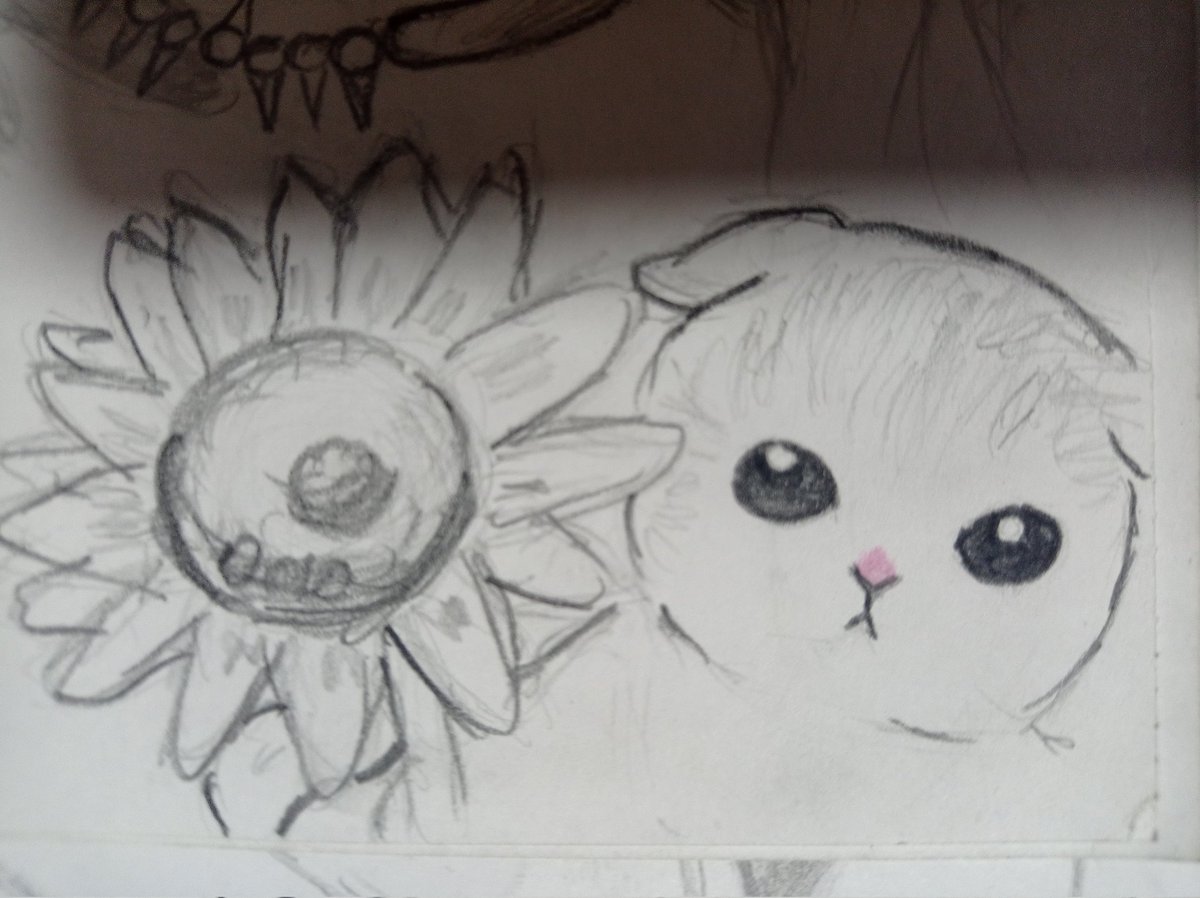 Dibujo buenas noches  
(Gatos bay bay)