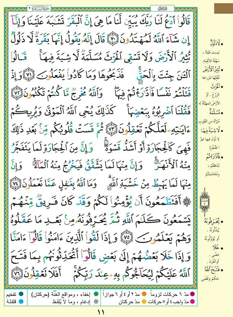 🕋#كل_صفحه_من_القرآن 🕋
مستمرون ان شاء الله 
♦️ #الورد_اليومي
قال تعالى {وَقُرْآنَ الْفَجْرِ إِنَّ قُرْآنَ الْفَجْرِ كَانَ مَشْهُودًا } 
سورة البقرة الوجه  ١١