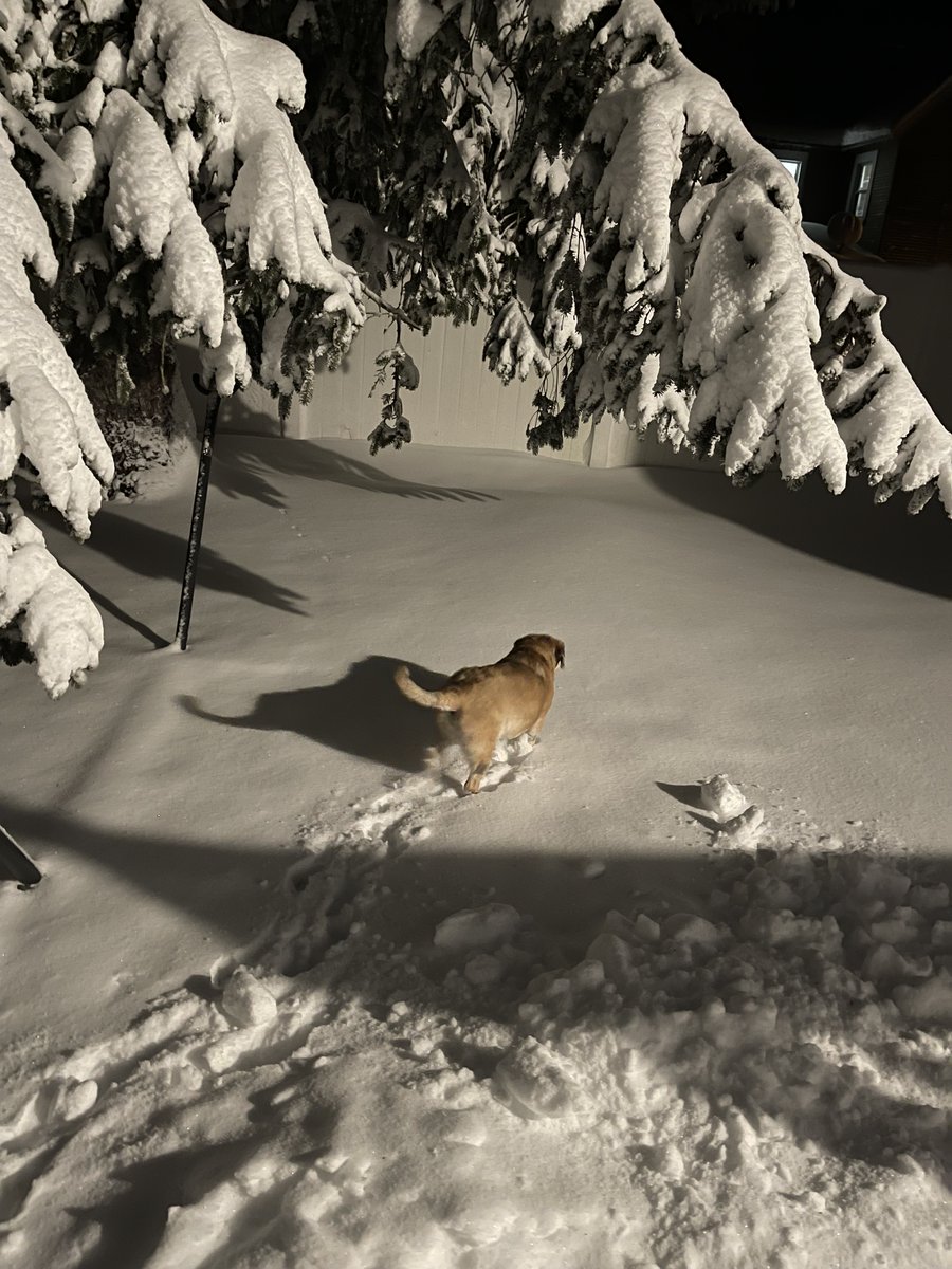 Guthriepuggle's tweet photo. Welp. Time to poop. #adventure https://t.co/dHXwITm7Hd