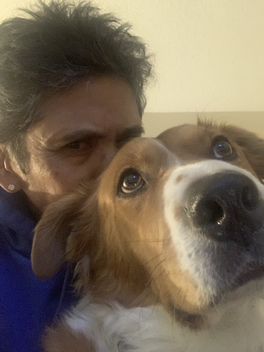 ejurado53's tweet photo. #Axyl
#handsomedoggo
#dogsoftwitter
#mondaynightfurball ๐ถ https://t.co/XUkFrdtaFZ