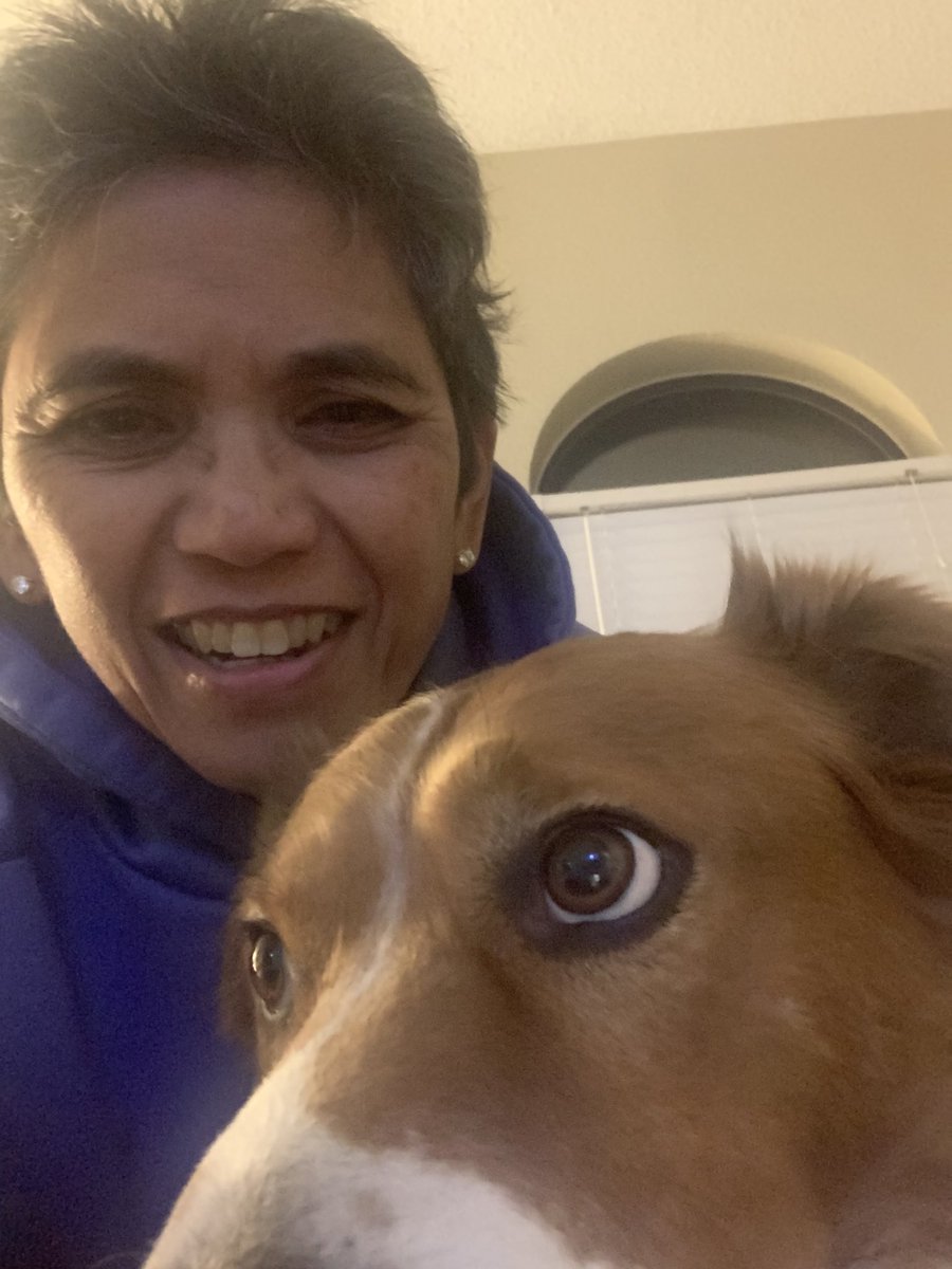 ejurado53's tweet photo. #Axyl
#handsomedoggo
#dogsoftwitter
#mondaynightfurball ๐ถ https://t.co/XUkFrdtaFZ