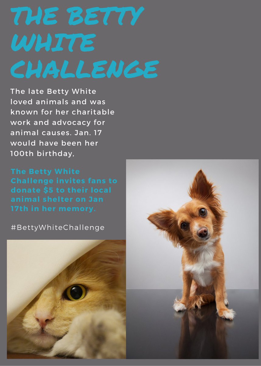 UpCycleCanada ♻ 🇨🇦 tweet media