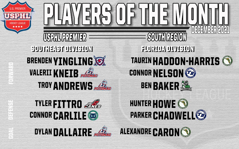 USPHL's tweet photo. Congrats to the #USPHLPremier #PlayersOfTheMonth from the South Region! Best of luck to all of these players, some of whom are heading north for the 2022 #USPHLWinterShowcase. 

Full Story: 
https://t.co/jyKNWPcb1c https://t.co/FUUyCbaRNK