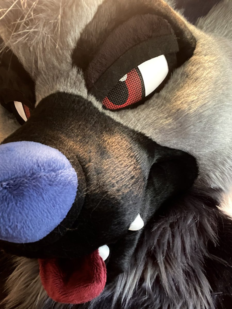 RookaRoo tweet media