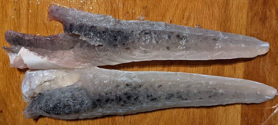 IMASUTAS's tweet photo. Have you recently noticed any black splotches on your Sand Flathead fillets?
This is known as #melanisation, and you can help us better understand this condition by logging your melanisation sightings here 👉 https://t.co/7aJRkU6I4B
#imasresearch #citizenscience @UTAS_ https://t.co/IwM64XLziZ