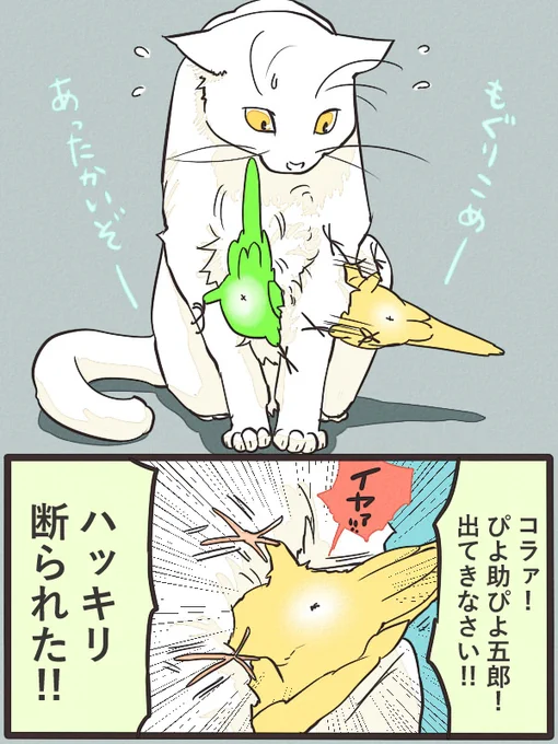 おはようございます
最近、マイタケにはまっている私です。マイタケ、旨すぎん?天然マイタケとか、いつか食べてみたいものです。 