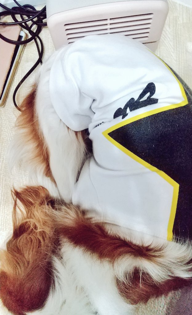 Techi25110287's tweet photo. ヒーターつけたら絶対
現れる子🐶
段々近づいて行って
お尻焦げそうな距離で寝る😂
暑くないのかな🤔🤔
退けても絶対この距離に
移動する🤔🤔

てか完全に占領されてて
私寒いんですけどぉぉ🤣🤣 https://t.co/h2LndRl7SG