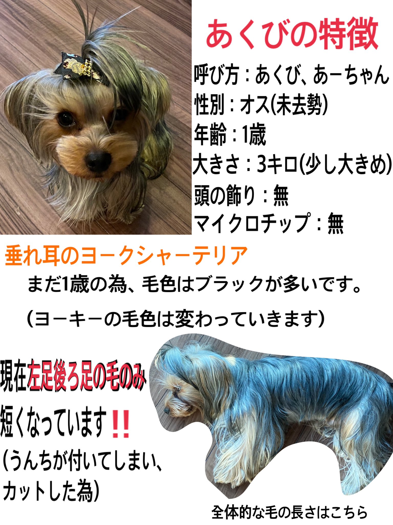 あくびを探しています Keu T8 Twitter