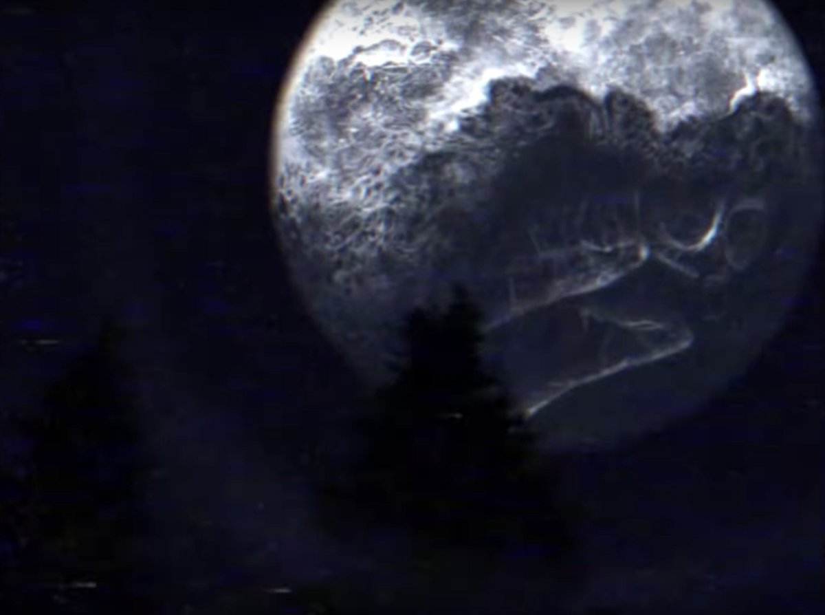 anythingbott's tweet photo. Dr. Eggman looked at the moon.

You should see it too. https://t.co/j1Bki0k6Iu