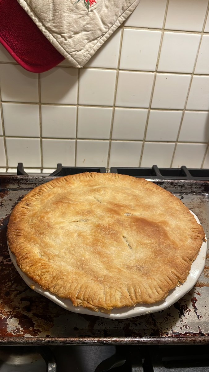 HolisticRobot's tweet photo. From scratch Chicken Pot Pie built with a foundation of @foodwishes butter pie crust! https://t.co/TvEwdEzId3