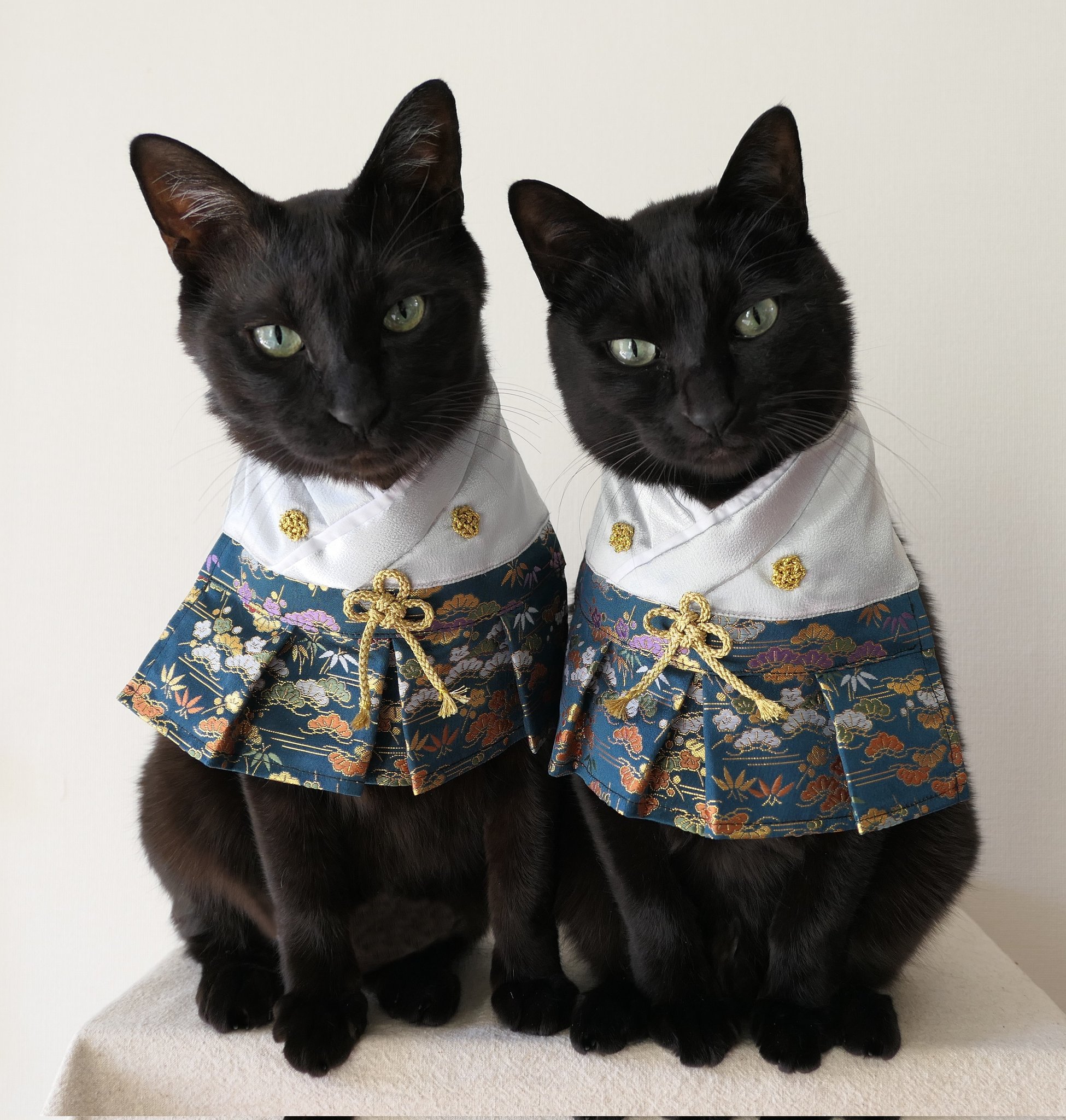 仲良し黒猫兄弟 Dirty2cats Twitter