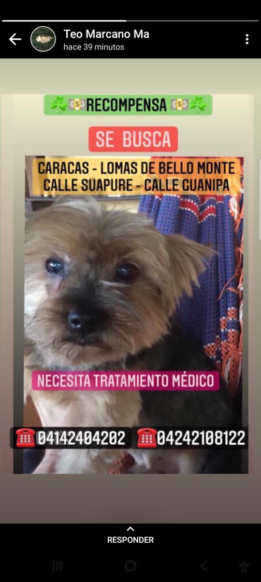 Elisa Rodriguez tweet media