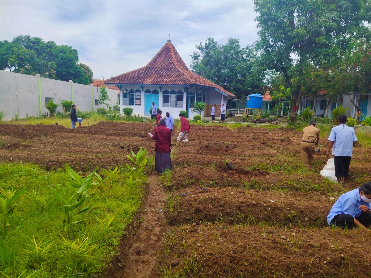 DispertanKudus's tweet photo. Penyuluh Pertanian BPP Kecamatan Bae melaksanakan Pendampingan penanaman Pepaya California di Panti Karya Conge Ngembalrejo. Selain untuk konsumsi para penghuni panti, juga melatih agar mereka bisa bertani setelah keluar dari panti. (*) https://t.co/cNNmibVxNZ