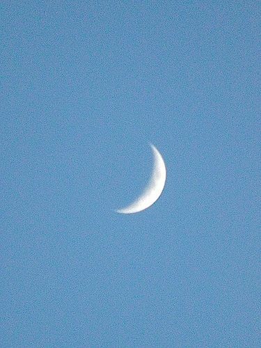 aucubami's tweet photo. camren au > supernova

era rotina: camila sentava-se ao cair da noite para fazer uma súplica á Lua: que ela, por compaixão, lhe trouxesse um grande amor.

cansada de ouvi-la todas as noites, a Lua lhe garantiu o pedido, enviando alguém especial: sua própria filha. https://t.co/G07uwwXgsy