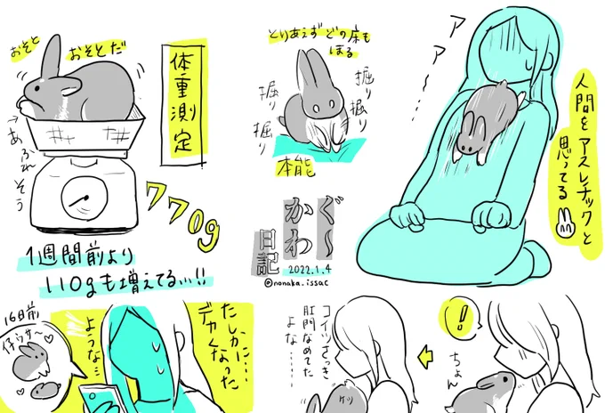 日記 体重測定 成長というより太ったのかもしれない… 
