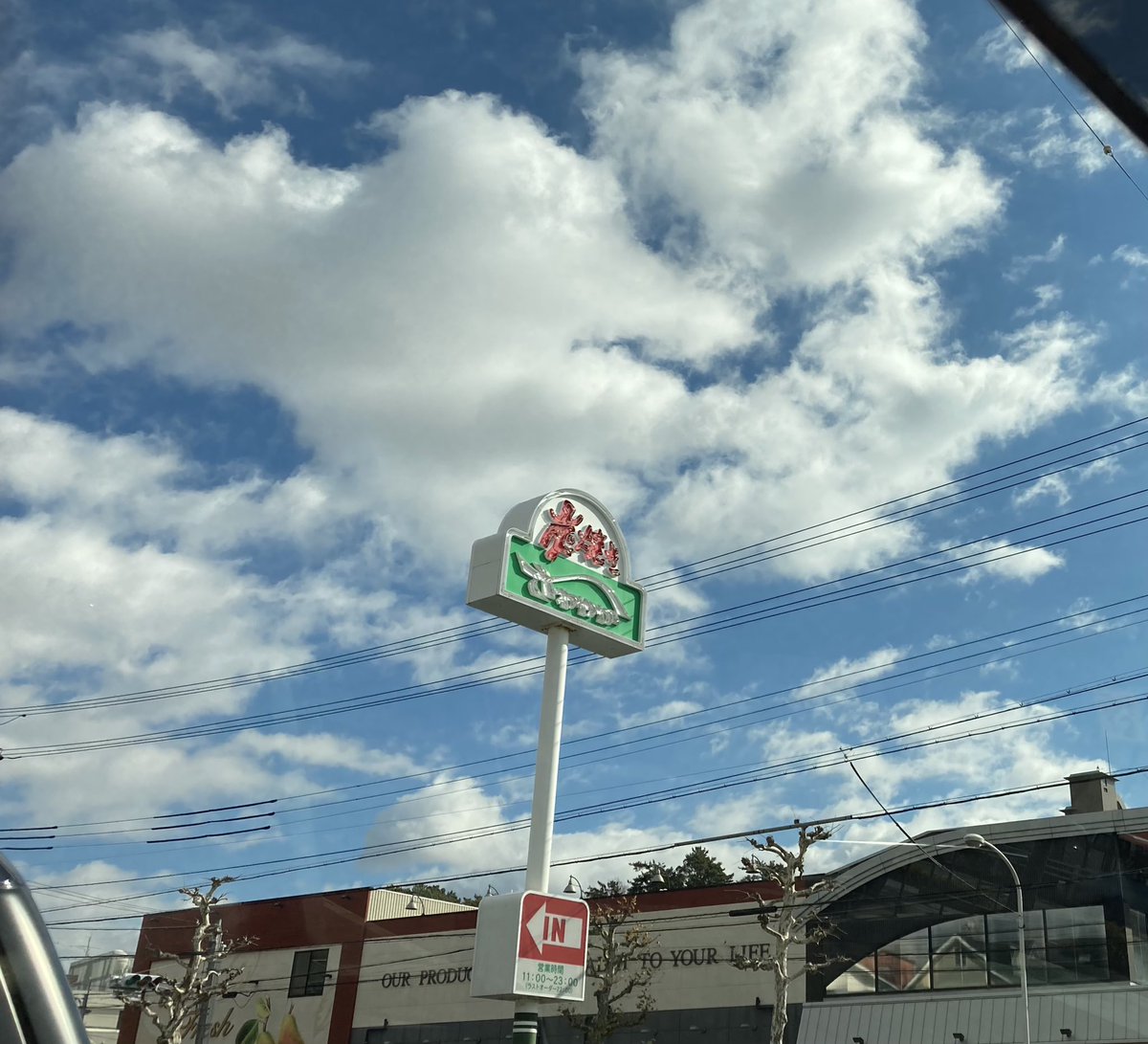 UD21477675's tweet photo. (」ﾟдﾟ)」ﾊﾞﾝﾊﾞｰｰｰｸﾞ!!食べに来た
しばらく待ちますzzz_(-ω-`_)⌒)_
そういえば今朝庭にイタチが歩いてたんだけど写真は撮れなかったっす。いつもより大きく感じたんで冬毛でもふもふしてたのかな？🐾 https://t.co/E9hy85Vui5
