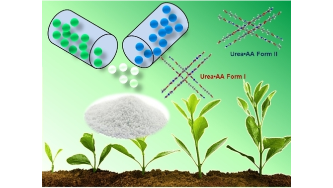 ChemSusChem's tweet photo. Mechanochemical Synthesis of Polymorphic Urea-Adipic Acid Cocrystal as a Sustained-Release Nitrogen Source (Adassooriya and co-workers @ranjitthakuria @M_Arhangelskis) #CMTD_CSSC_Mechano https://t.co/rckbaM1Prb https://t.co/gK4gMdgFRp