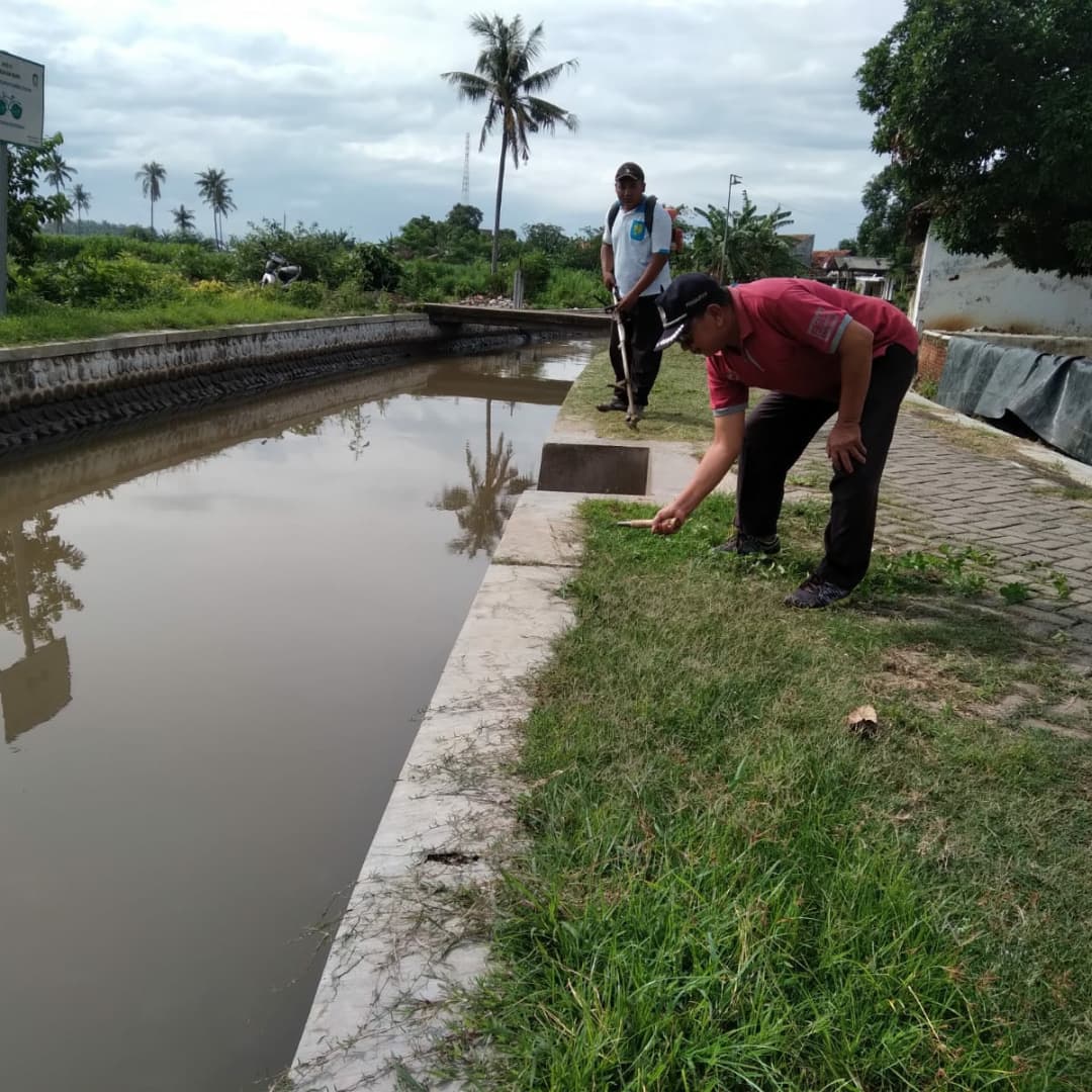 Korsda_Bwi's tweet photo. Babat rumput di saluran sekunder DI Bajulmati juru wilayah Wongsorejo. Cc @PengairanBwi @p50_guntur https://t.co/wSZKyOkwHW