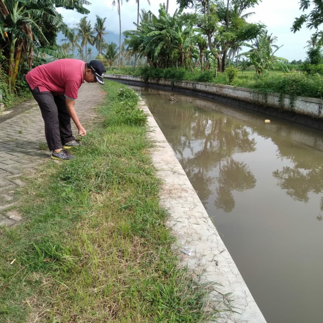 Korsda_Bwi's tweet photo. Babat rumput di saluran sekunder DI Bajulmati juru wilayah Wongsorejo. Cc @PengairanBwi @p50_guntur https://t.co/wSZKyOkwHW