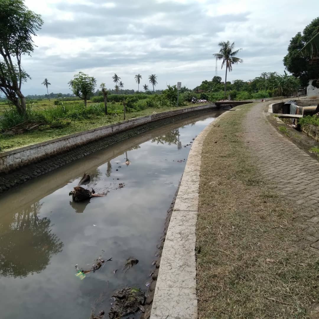 Korsda_Bwi's tweet photo. Babat rumput di saluran sekunder DI Bajulmati juru wilayah Wongsorejo. Cc @PengairanBwi @p50_guntur https://t.co/wSZKyOkwHW