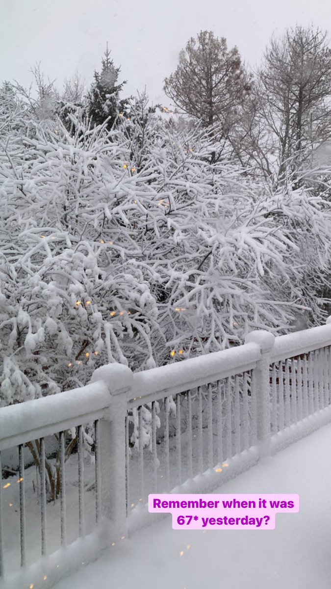 The snow… I just. After it being almost 70 yesterday. #dcprobs