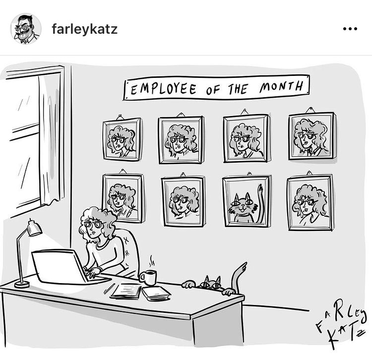 This one goes out to all of my fellow companies of one ❤️