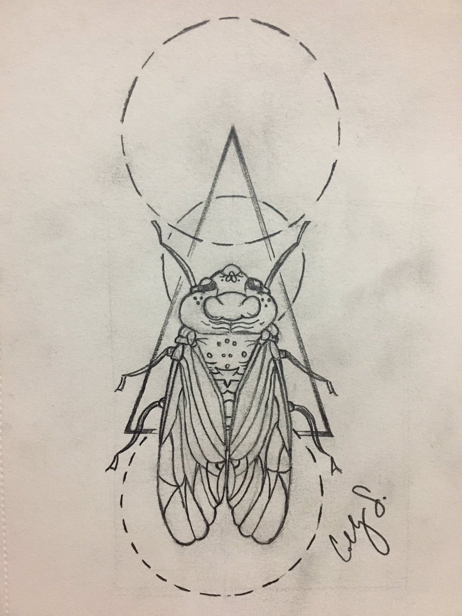 ColbyS1223's tweet photo. Tattoo I designed today 😊 #bugs #tattoodesign #24hoursinpolicecustody #insidedubai #Kep1er https://t.co/OEtS66RkEP