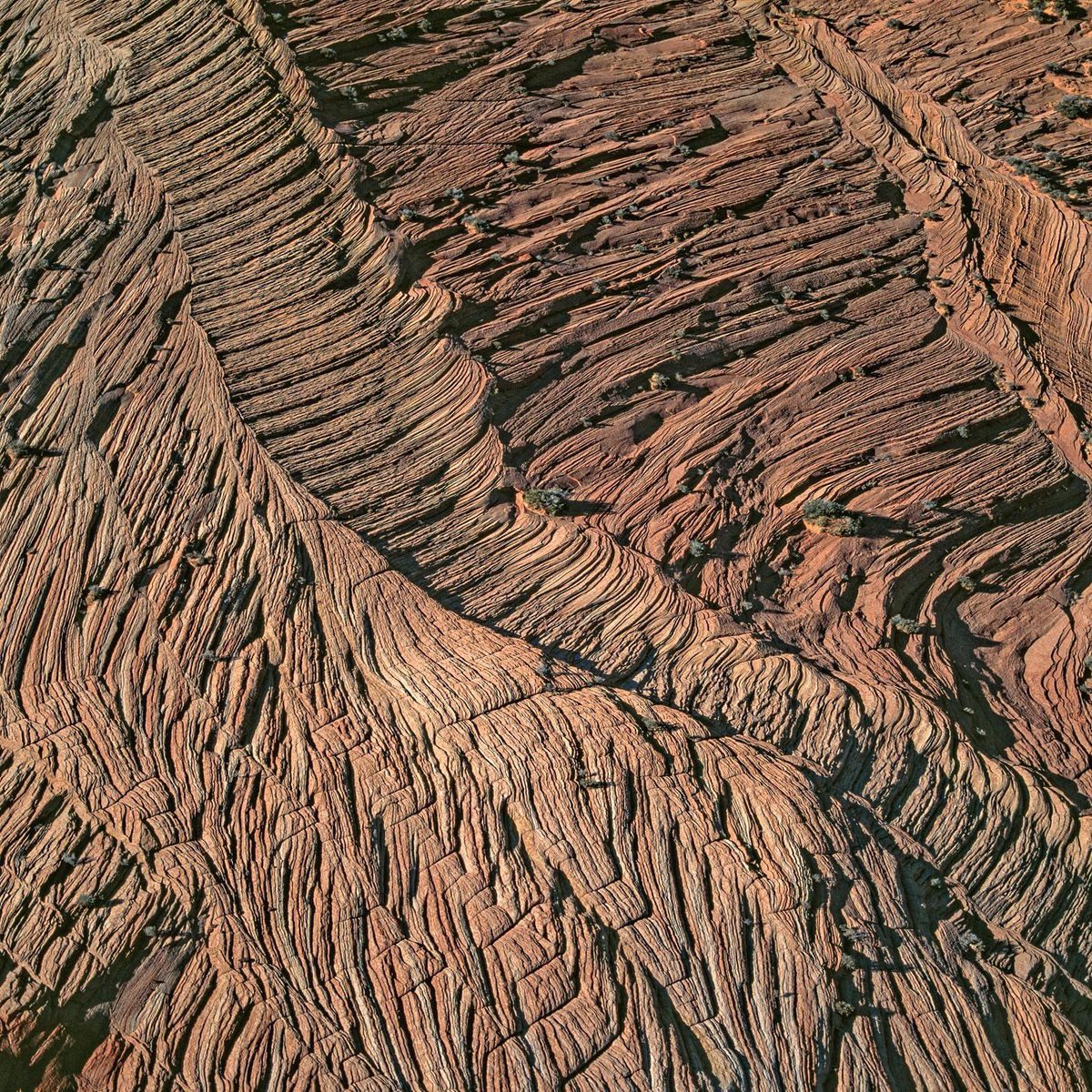 PeterBetts8's tweet photo. How good is geology? Every day of every year for billions of years!  

Paria wilderness, Utah USA

Source: Bernhard Edmaier #HowGoodIsGeology https://t.co/8VGADttWYr