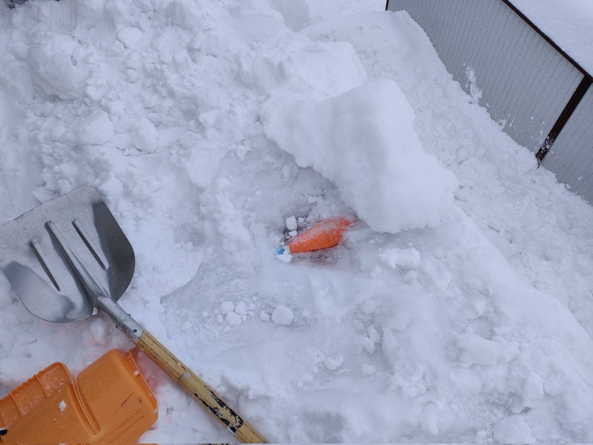 Exseri's tweet photo. 屋根雪下ろしてたら冷凍クラブ出てきた https://t.co/LgEoA4z09v
