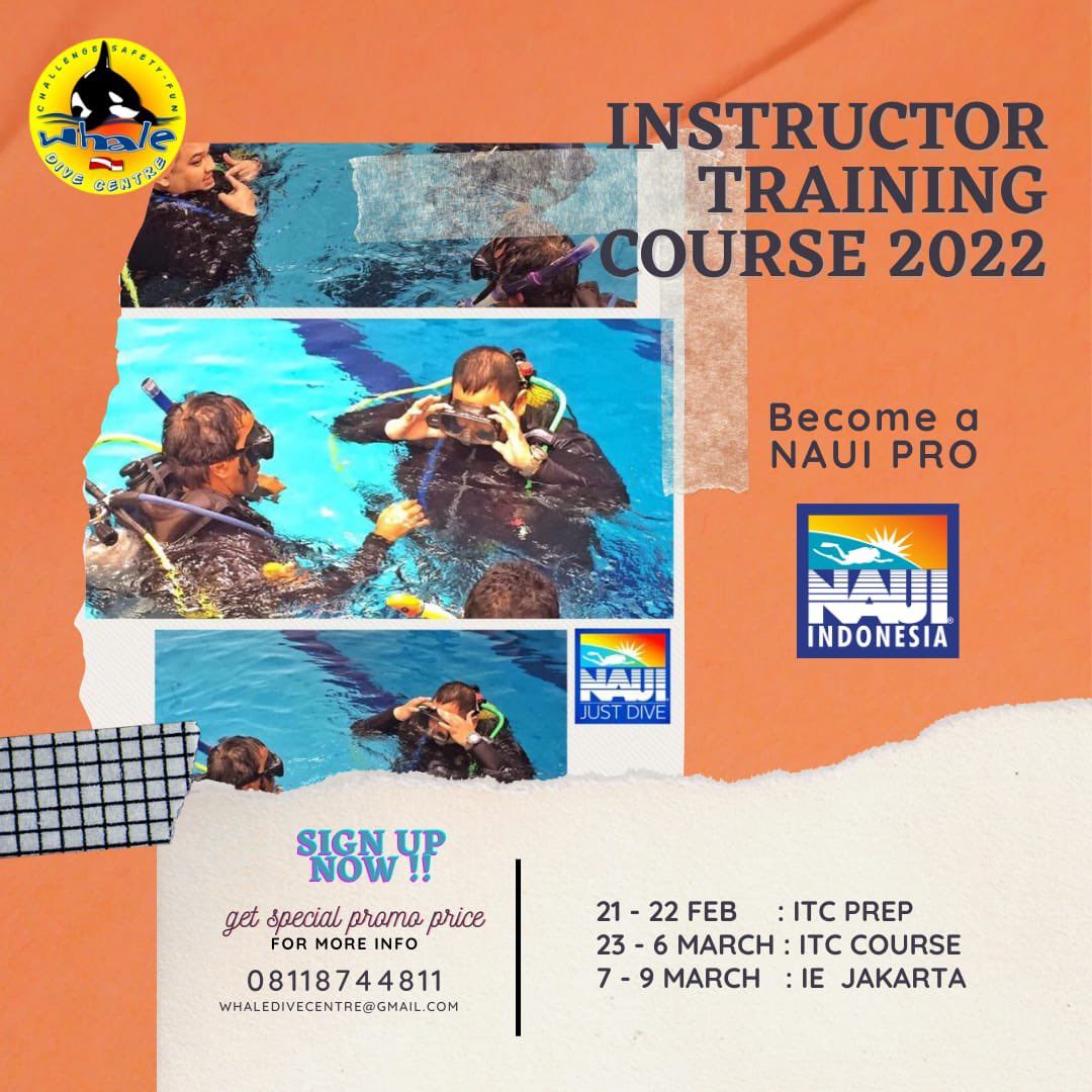naui_id's tweet photo. Improve your diving knowledge and improve your diving skills
Be a Professional Diver
Be a Scuba Diving Instructor 
Come join us in NAUI Instructor Training Course 2022
#nauiworldwide 
#nauiasia
#NAUIINDONESIA 
#nauiinstructor 
#divesafetythrougheducation 
#wedoNAUIway https://t.co/IowOkvYqsf
