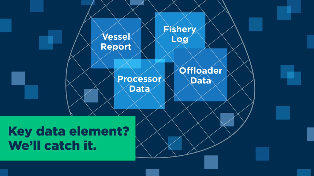 Only Legit Fish verifies against government records, so we have to be thorough and our process is rigorous. Every key data element is captured. Nothing slips through. Find out more: bit.ly/30tnXIO #legitfish #seafood #traceability