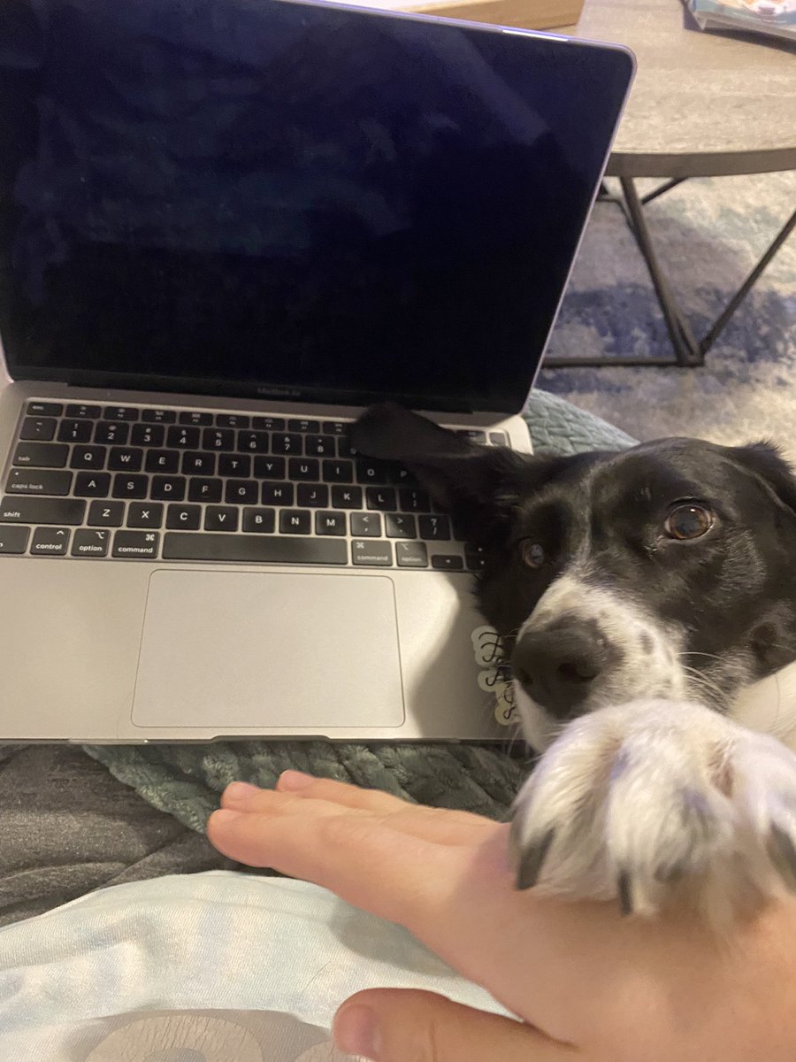 It’s 10:00 pm the night before virtual learning and Junie is holding me accountable and forcing me to stop working.