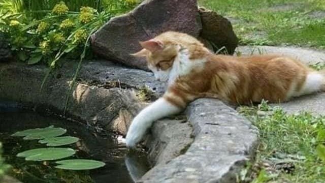 Ꮺ ָ࣪  ۰ . 𝅄᠂ ⭒ ֢