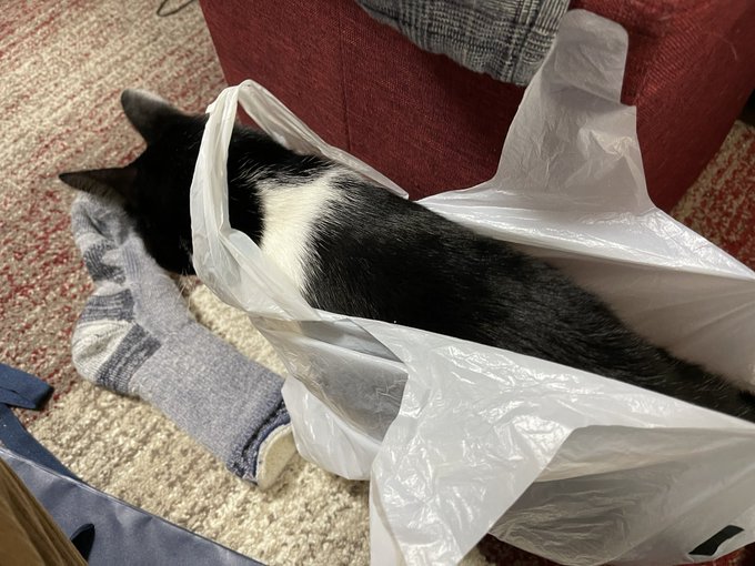 スタートの構え 