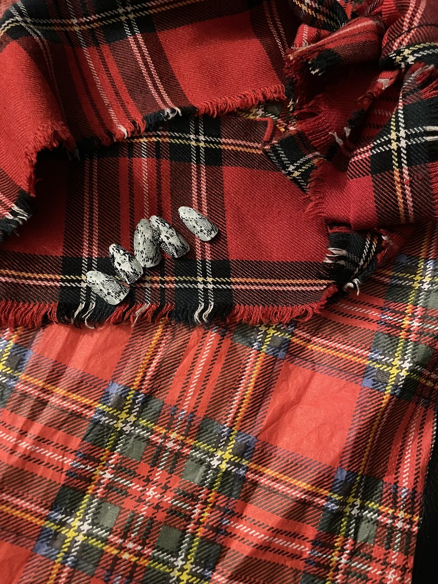 🐍🏴󠁧󠁢󠁳󠁣󠁴󠁿🐍🏴󠁧󠁢󠁳󠁣󠁴󠁿<a href="/snakebitewright/">Peter Wright</a> #LoveTheDarts Scottish af 🙌🏼🎉