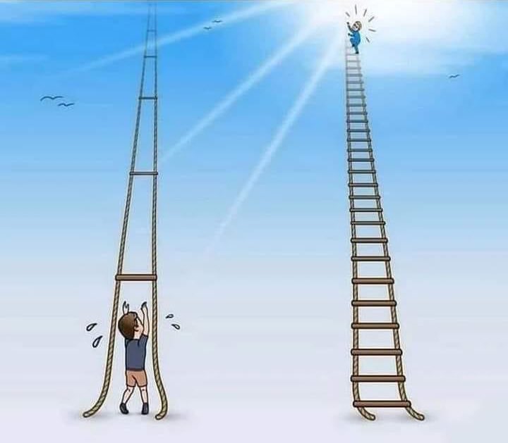 ParveenKaswan's tweet photo. Never underestimate the power of small steps. https://t.co/kh09YUoanQ