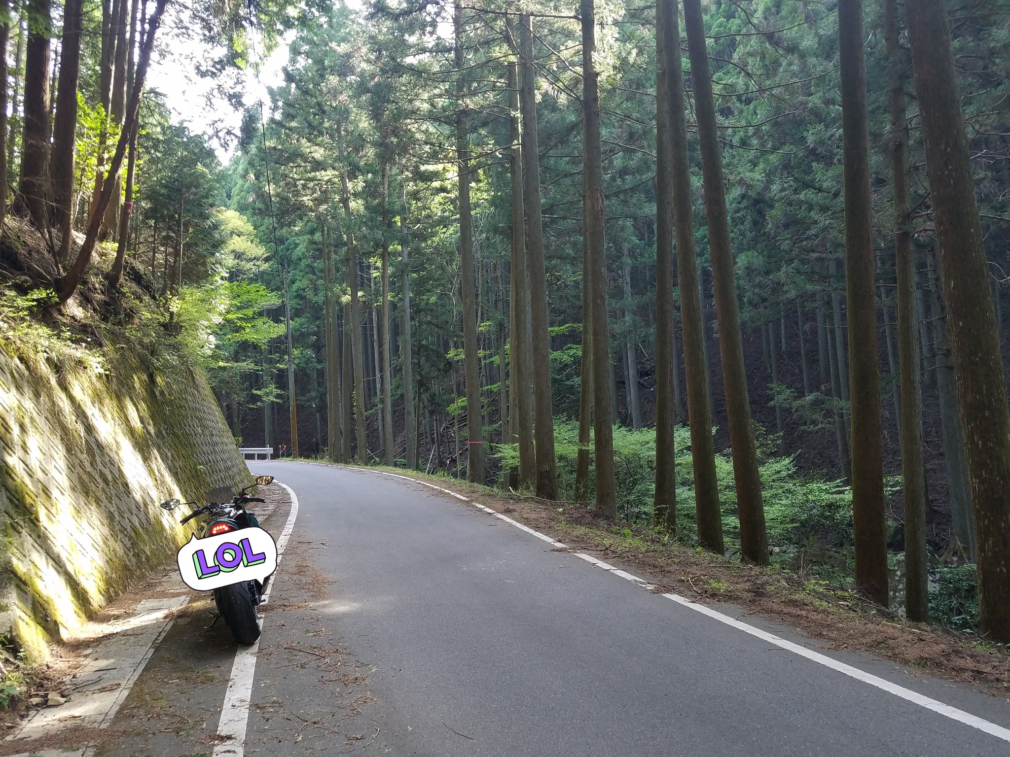 まさくん@GSX-S1000F🏍️ (@masakun1_4) / X まさくん@GSX-S1000F🏍️ (@masakun1_4) / X
