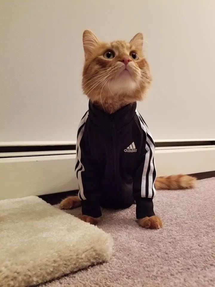 ProfessionalEt2's tweet photo. ME IRL https://t.co/DGIPTdEB4r