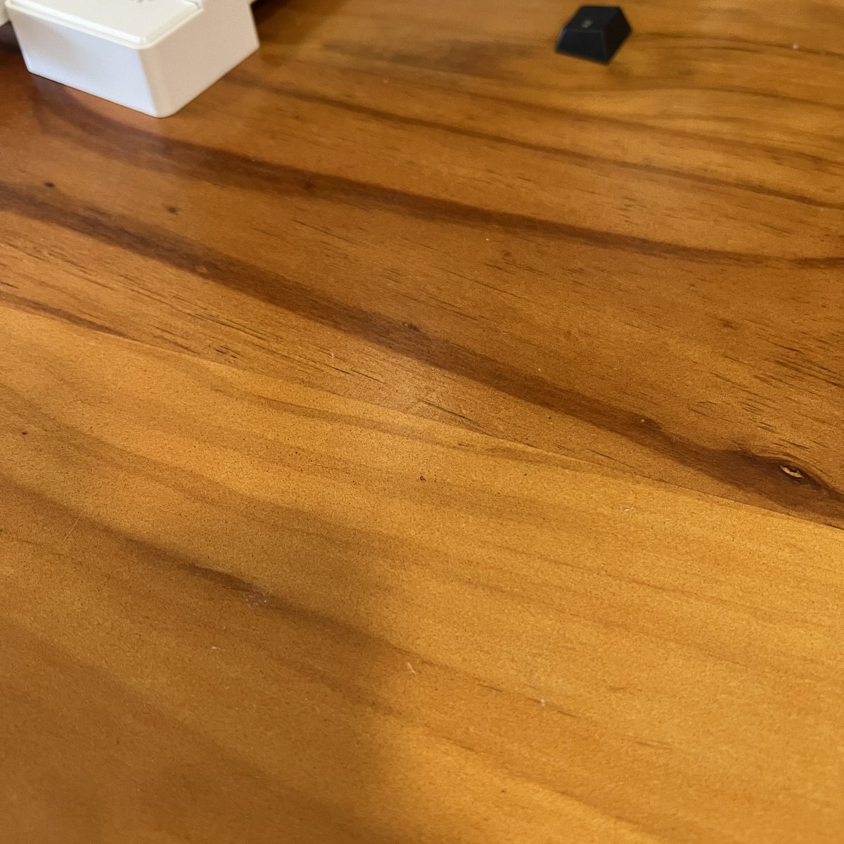 squashy_boy's tweet photo. @glarses1 If you ever wanted to know what a good feeling cherry mx brown looks like; https://t.co/6xKRV1WNSp