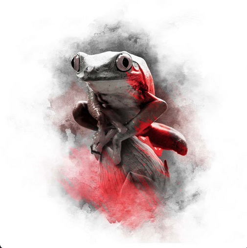NomorePapyrus's tweet photo. This just happens to be tied for the rarest piece of the #TAKC collection. ๐ธ
Probably nothing, right @Aqomiart?
#myfrog #TAKCredseries https://t.co/nmDQp0v6gT