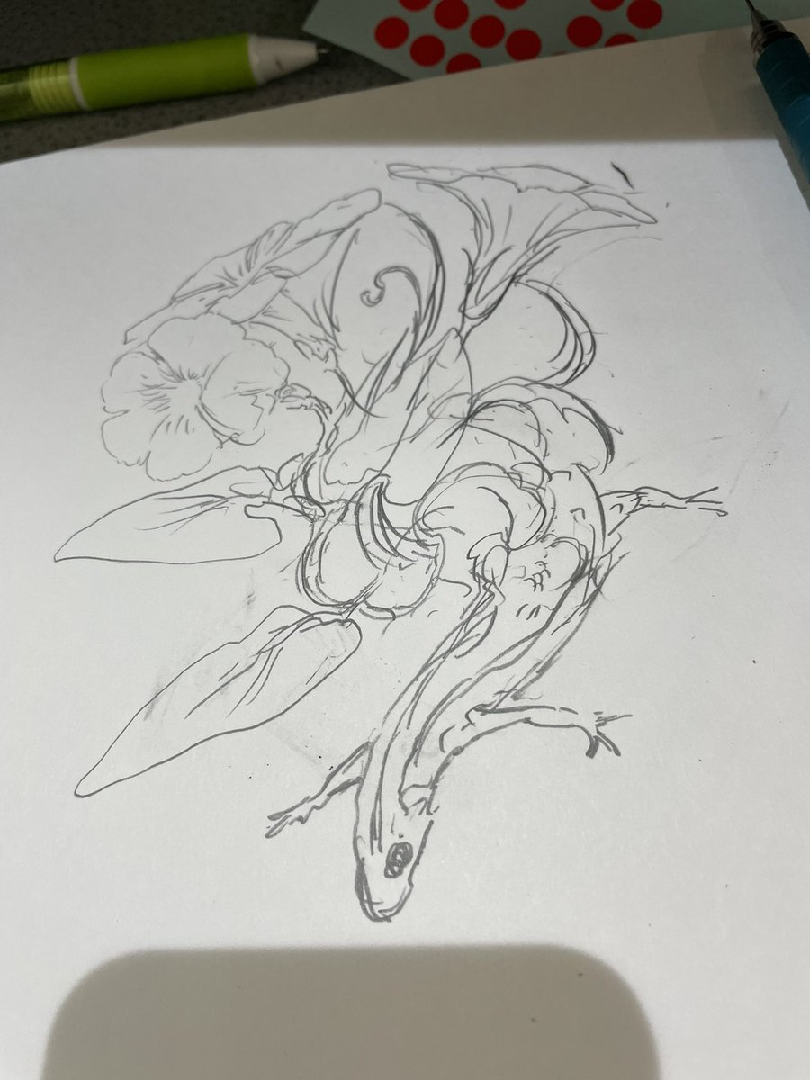 ラフぅ 