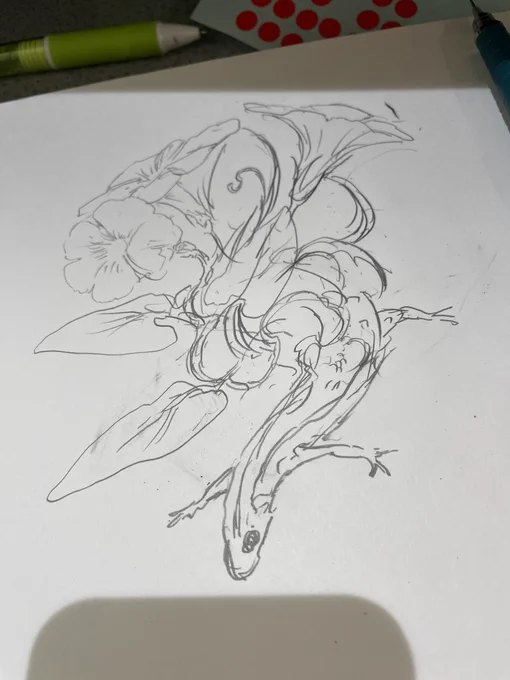 ラフぅ 