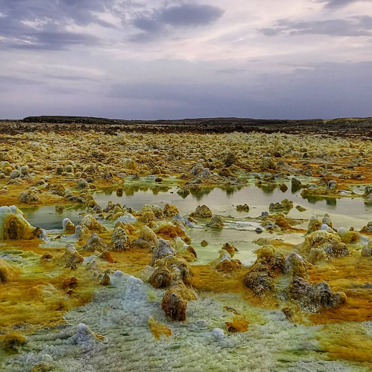 addis_hiking's tweet photo. Is Afar on your hiking bucket list? We think it should be! 

#erta_ale #dallol #danakildepression #lakeafdera #landoforigins #ethiopia #addishiking #visitethiopia https://t.co/4DYCHp2eF4