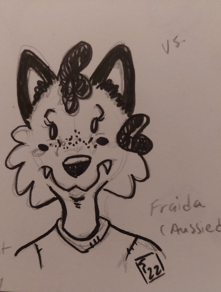 sombrashibe's tweet image. Fraida looking straight ahead. Not a common view for a doggo with such a long snoot. Drawing her like this brought back memories of the Rude Dog Saturday morning cartoon. 🤣
#deltarune #doggo #lesserdog