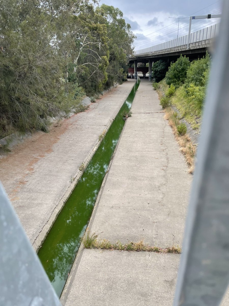 SarahMRey's tweet photo. Gardiner‘s Creek near Glenferrie Road coloured green. What is going on? #pollution ? @StonningtonCity @EPA_Victoria #yarra @DELWP_Vic https://t.co/2TfloMkz1d